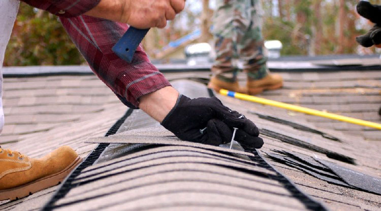 Local Roofing Companies 
